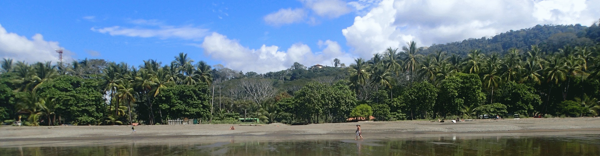 Bautiful forest, sand beach and the ocean